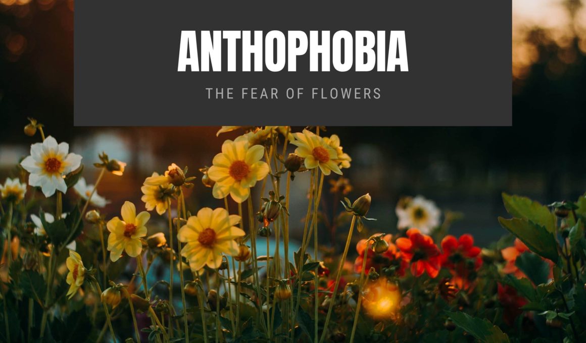 Anthophobia The Fear of Flowers