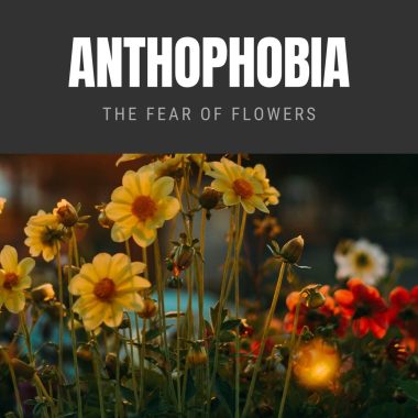 Anthophobia The Fear of Flowers