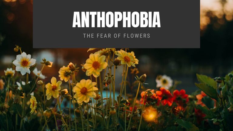 Anthophobia The Fear of Flowers