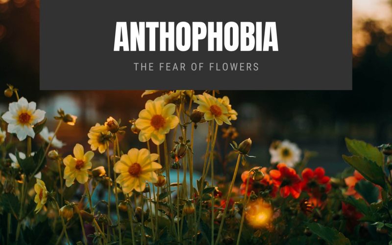 Anthophobia The Fear of Flowers