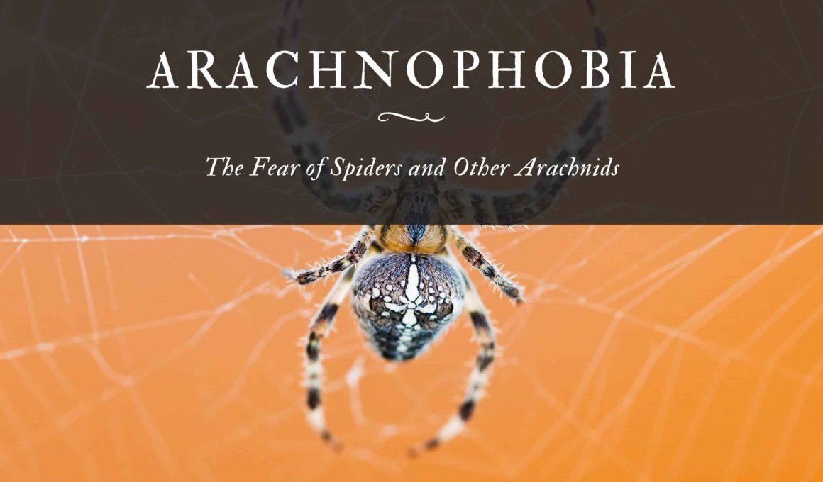 Arachnophobia The Fear of Spiders and Other Arachnids