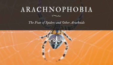 Arachnophobia The Fear of Spiders and Other Arachnids