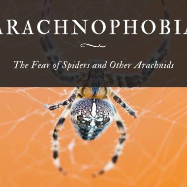 Arachnophobia The Fear of Spiders and Other Arachnids