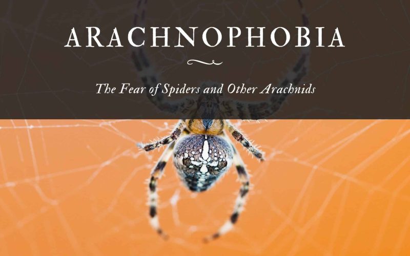 Arachnophobia The Fear of Spiders and Other Arachnids