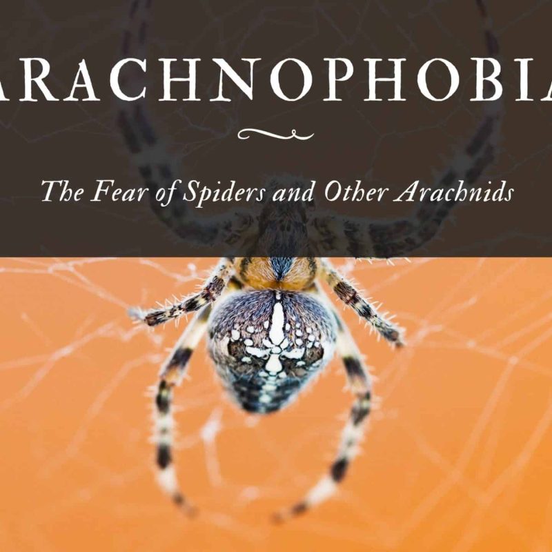 negrophobia-the-fear-of-black-people