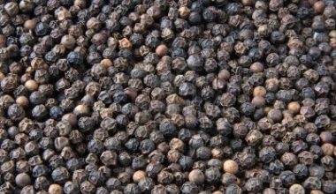 Black pepper