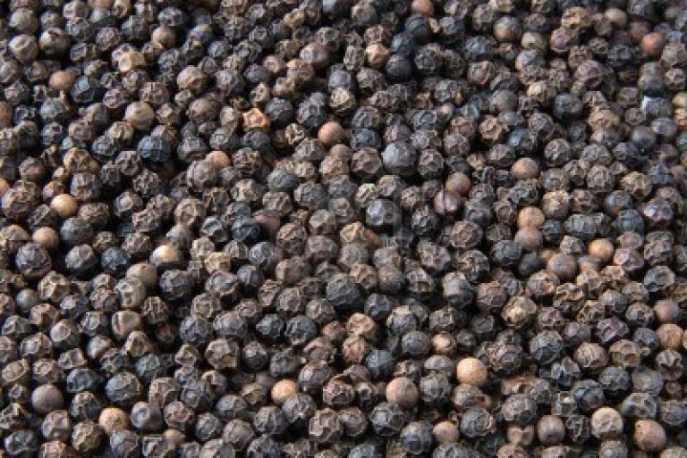 Black pepper