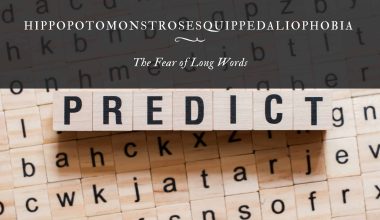 Hippopotomonstrosesquippedaliophobia: The Fear of Long Words