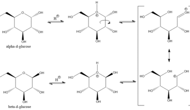 Glucose (Blood Sugar)