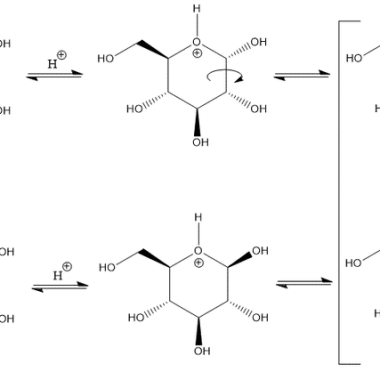 Glucose (Blood Sugar)