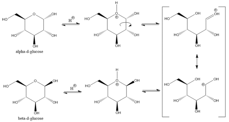 Glucose (Blood Sugar)
