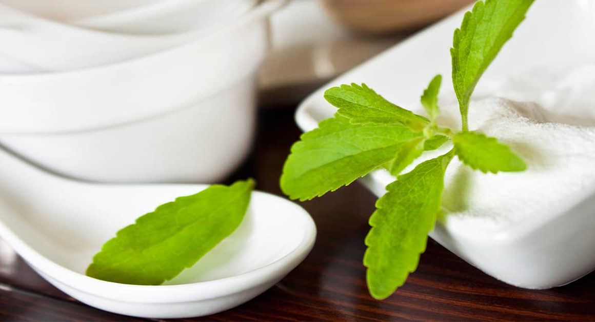 Stevia