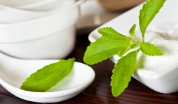 Stevia