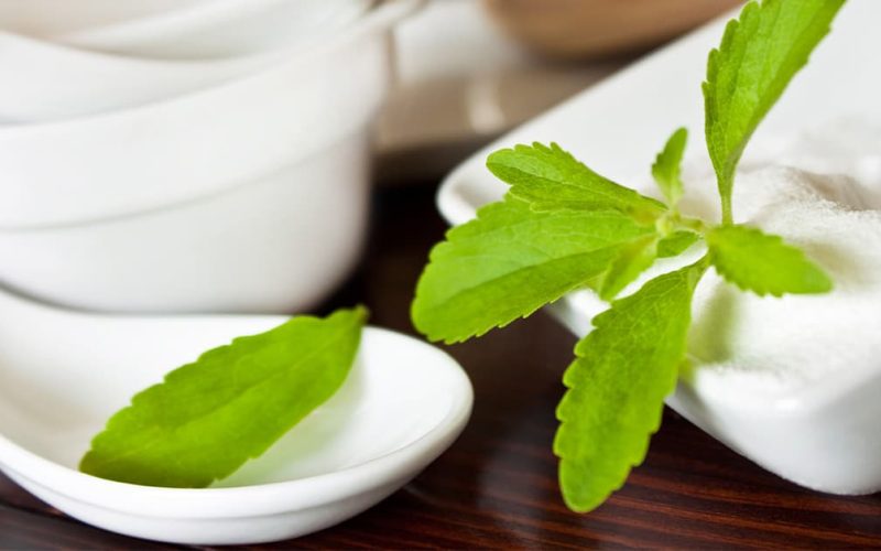 Stevia