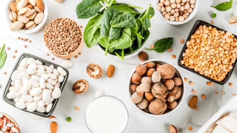 Vegan Protein Sources