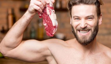 carnivore diet