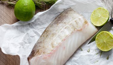 Fish Collagen