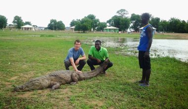 Paga Crocodile Pond