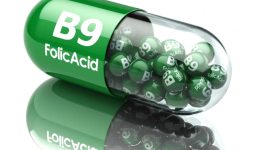 Folate (Vitamin B9)