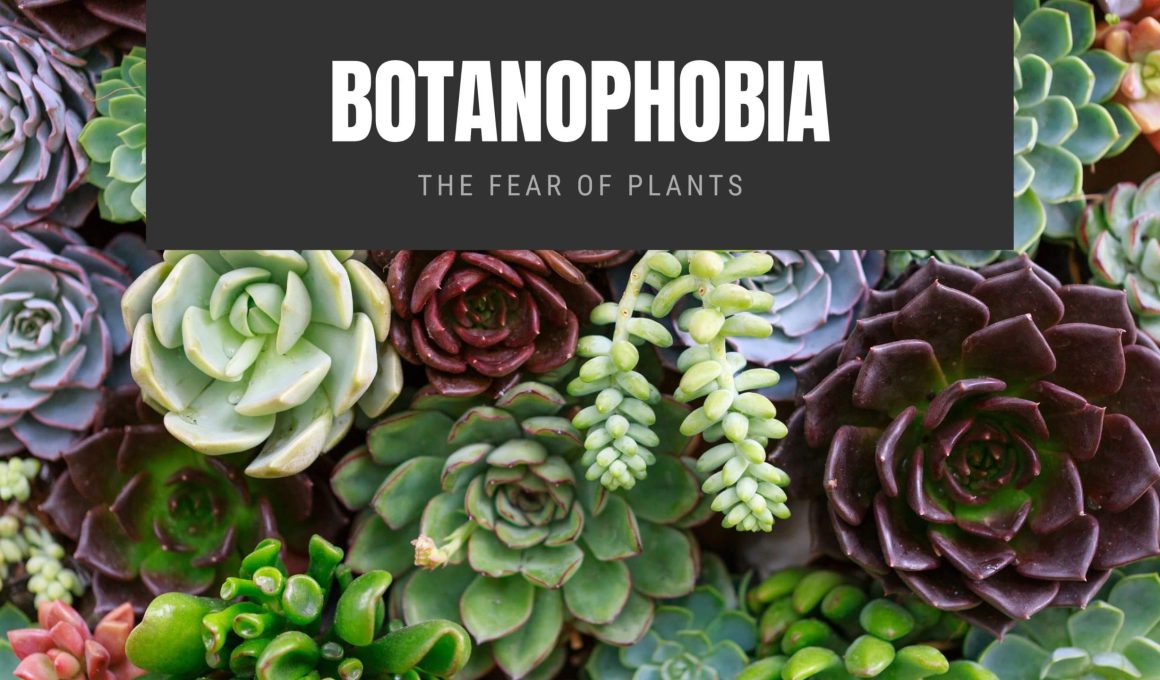 Botanophobia The Fear of Plants