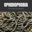 Ophidiophobia The Fear of Snakes