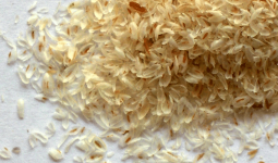 Psyllium Husk