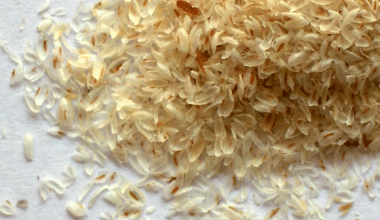 Psyllium Husk