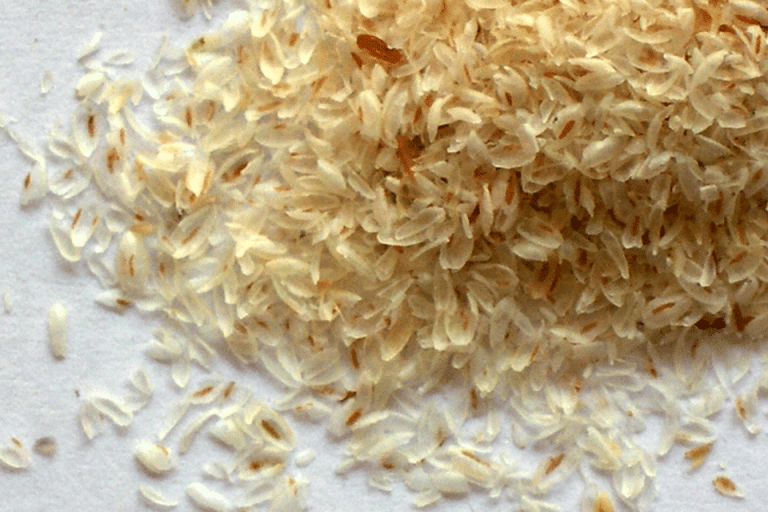 Psyllium Husk