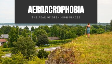 Aeroacrophobia The Fear of Open High Places