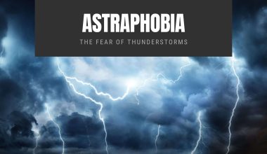 Astraphobia The Fear of Thunderstorms