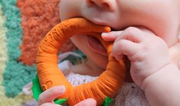 Baby Teether