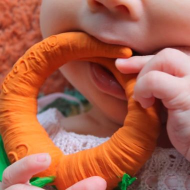 Baby Teether