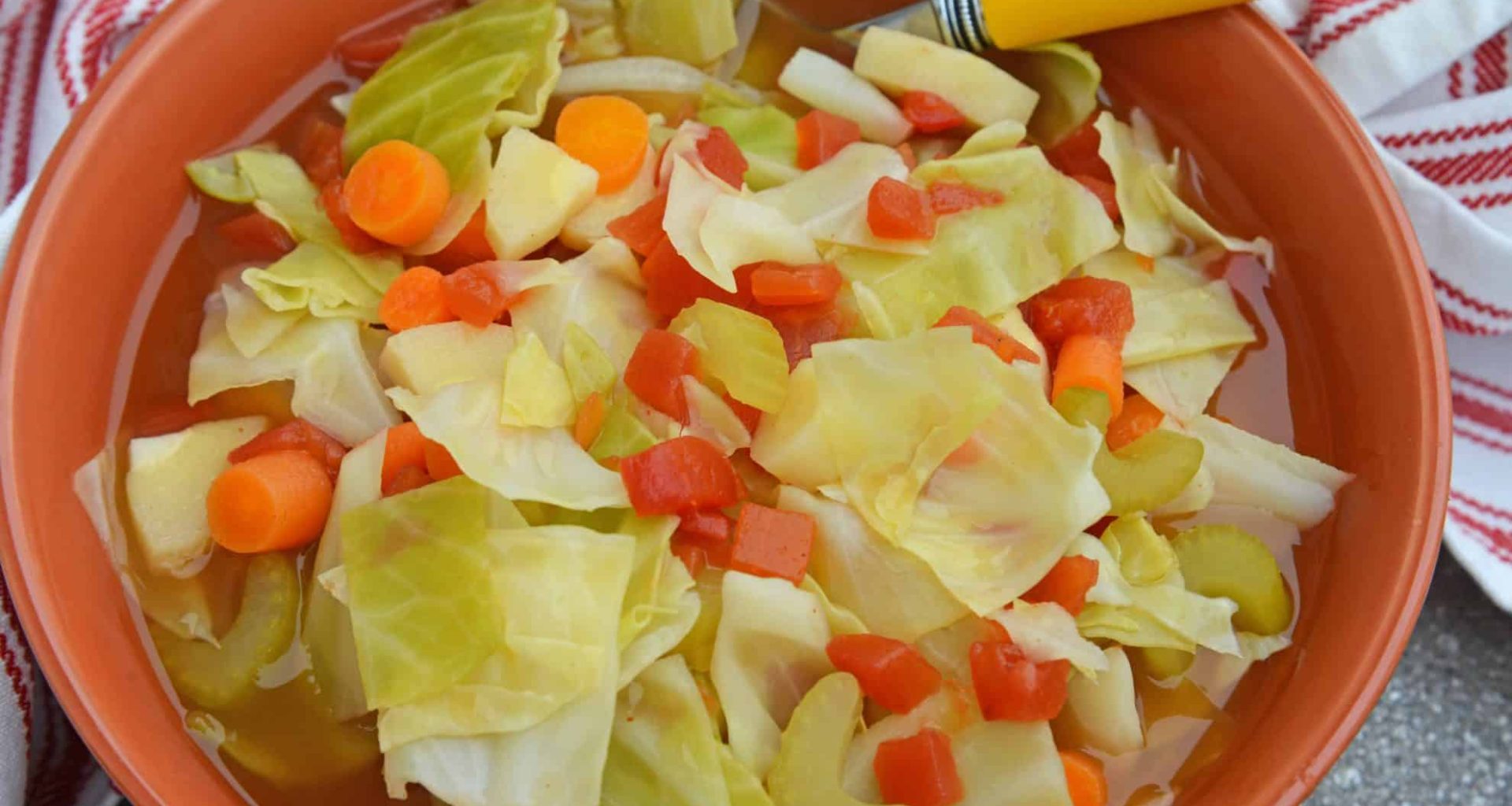 soup diet