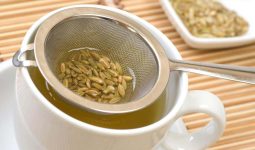 Fennel Tea