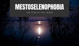 Mestoselenophobia The Fear of Full Moon