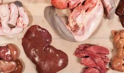 Organ Meat