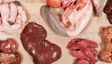Organ Meat