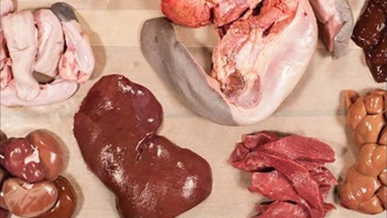 Organ Meat