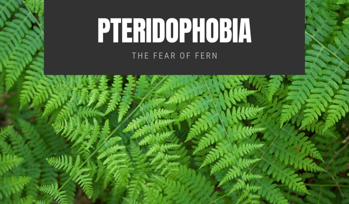 Pteridophobia The Fear of Fern