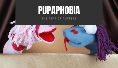 Pupaphobia The Fear of Puppets
