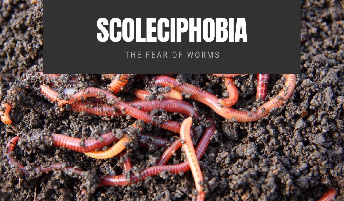 Scoleciphobia The Fear of Worms