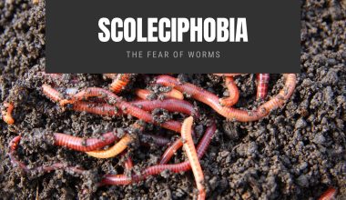 Scoleciphobia The Fear of Worms