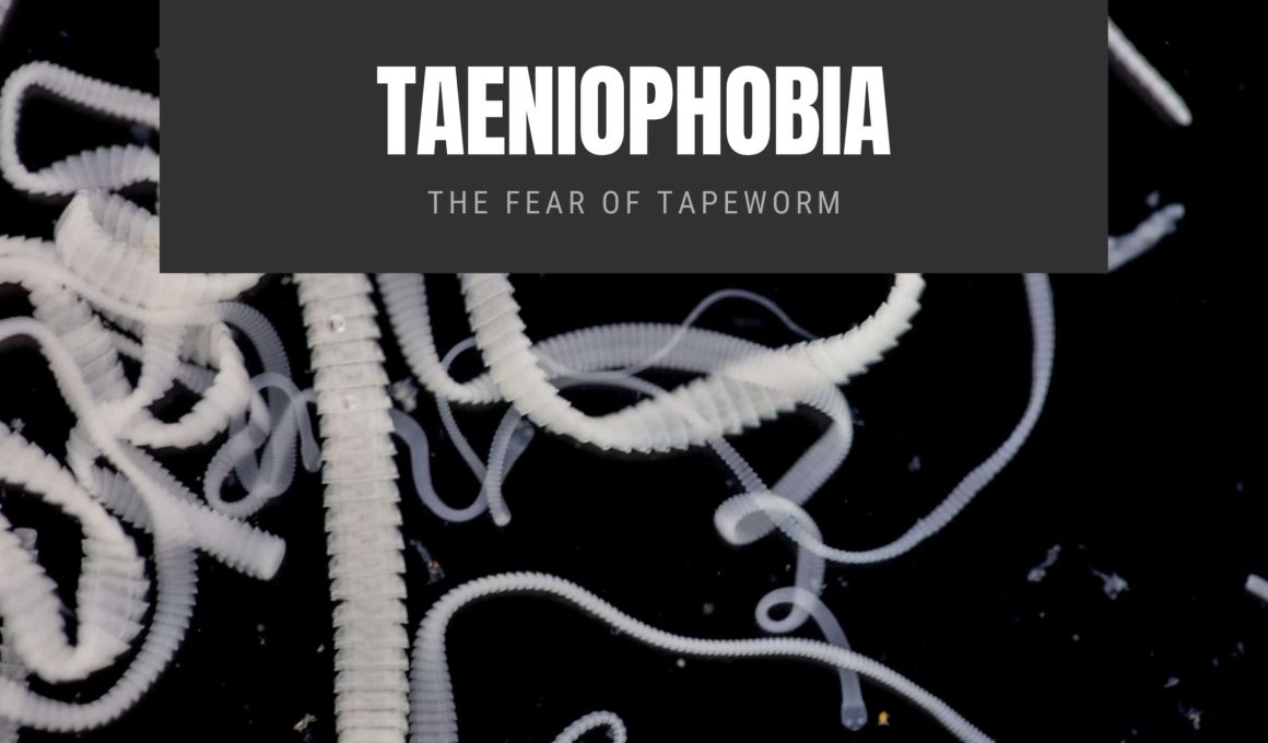 Taeniophobia The Fear of Tapeworm