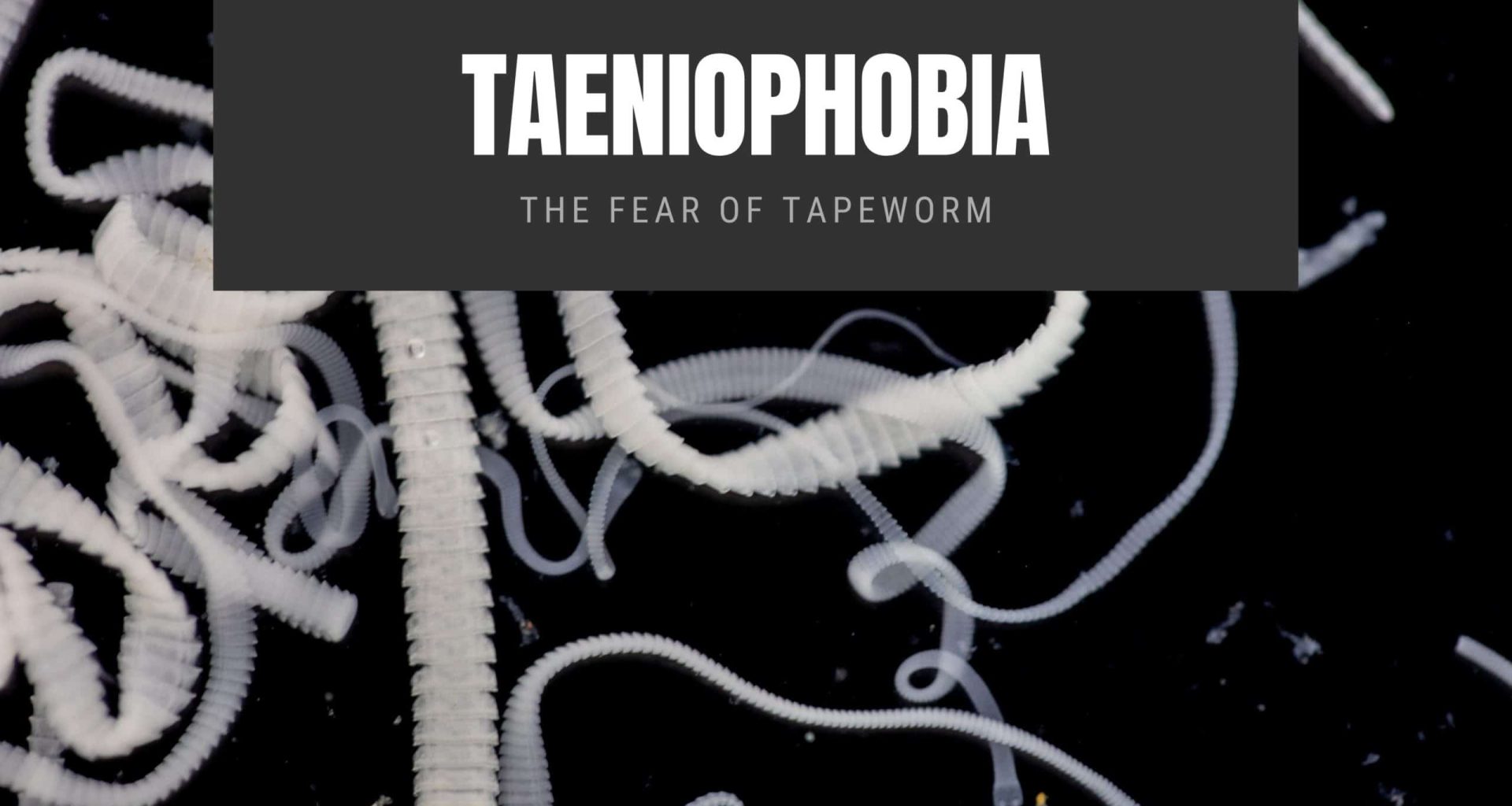Taeniophobia The Fear of Tapeworm