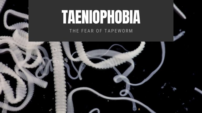 Taeniophobia The Fear of Tapeworm