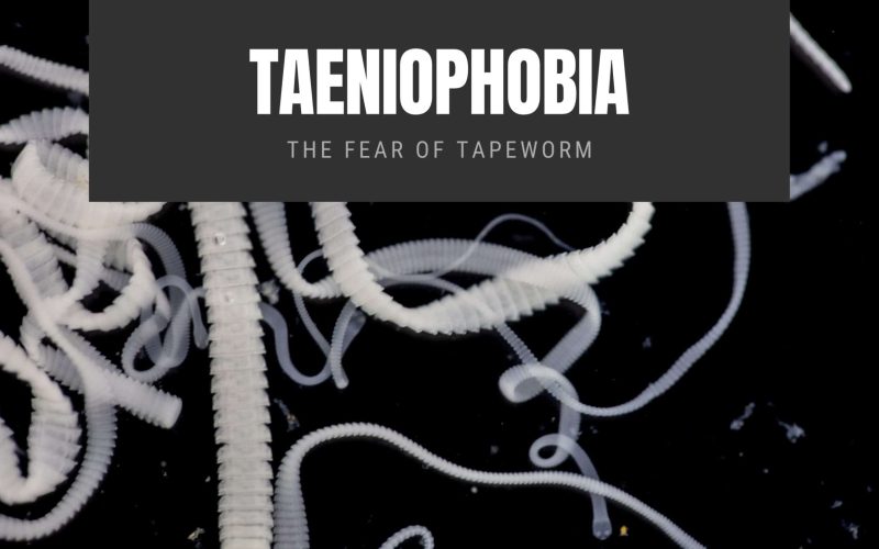 Taeniophobia The Fear of Tapeworm