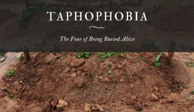 Taphophobia The Fear of Being Buried Alive