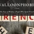 Walloonphobia The Fear of Wallons (People Who Speak French)