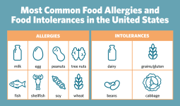 Food Intolerance Vs Food Allergy