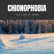 Chionophobia The Fear of Snow